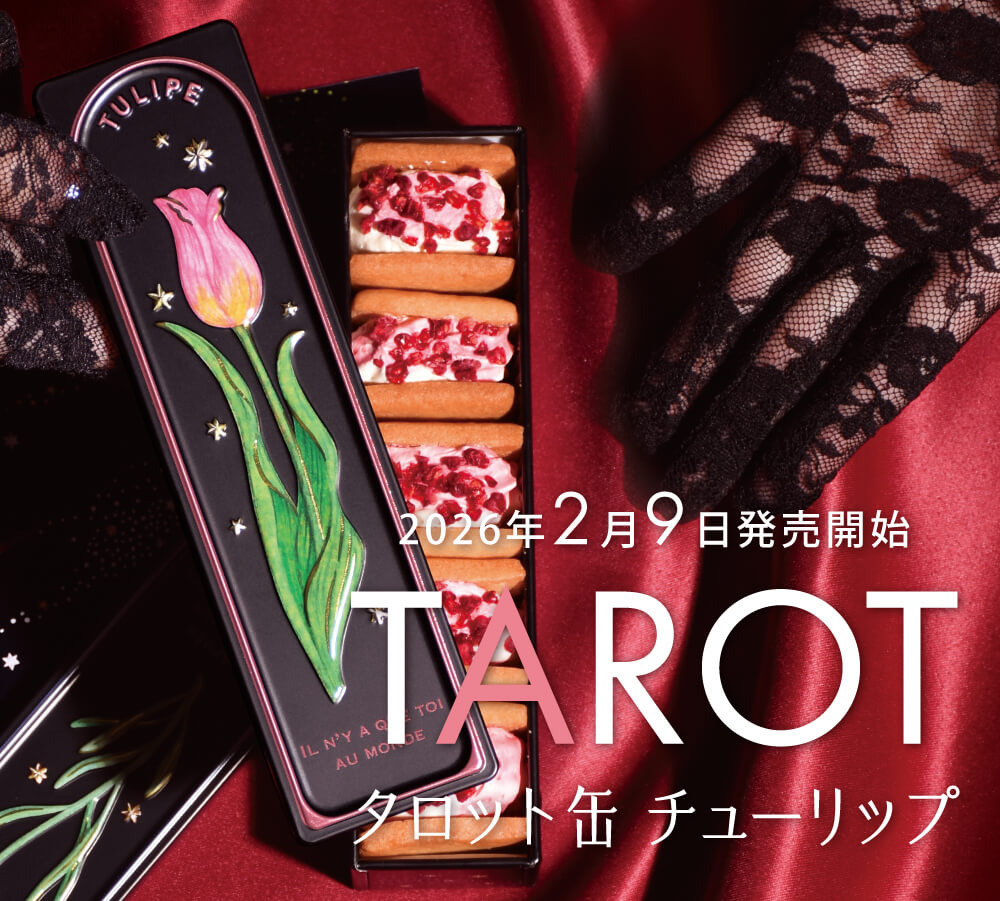 チューリップ　５８缶 チューリップポーク 58缶 【公式通販】